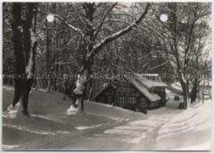 Winterlandschaft, Grüner Jäger