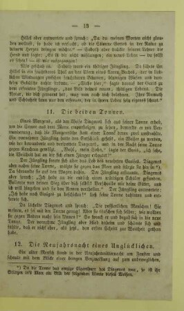 12. Die Neujahrsnacht eines Unglücklichen