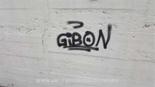 GiBON