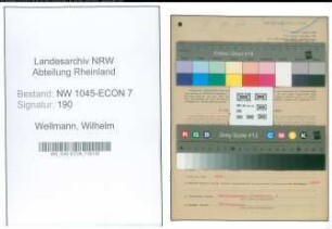 Entnazifizierung Wilhelm Wellmann , geb. 05.08.1906 (Schneider)