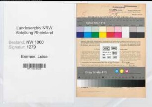 Entnazifizierung Luise Bermes, geb. 11.02.1914 (Kaufm.Angest.)