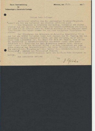 Brief von der Bayrischen Staatsammlung für Paläontologie und historische Geologie