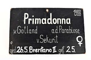 Stalltafel "Primadonna"