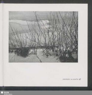 Dorfteich Im Winter