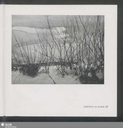 Dorfteich Im Winter