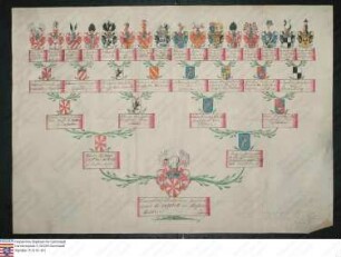 Ahnenprobe des Franz Ludwig Casimir Waldbott v. u. z. Bassenheim Bruder: Johann Maria Rudolf (462). - ausgefertigt 1740 Februar 1, Pergament
