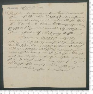 Vormünder von Adelbert von Chamisso