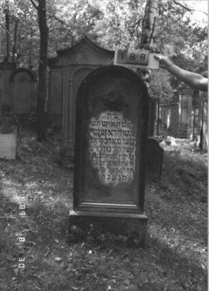 Grabstein 188 (Index: 99609824) Material: Sandstein Zustand: verwittert, abgeblättert Maße HxBxT: 148x59x21 cm Beschreibung: Stele, Rundbogenabschluß, Schriftfeld eingetieft, Sockel Symbolik: Rosette: Grabstein 188