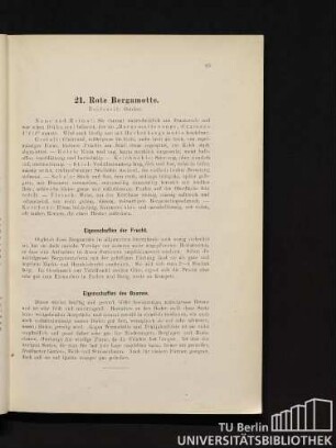 21. Rote Bergamotte.