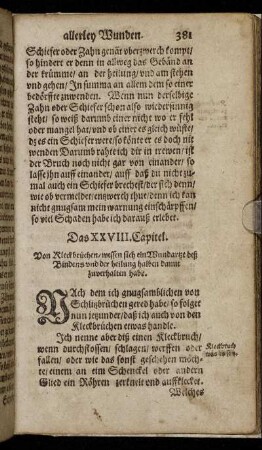 Das XXVIII. Capitel.