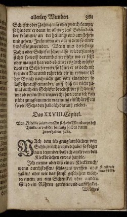 Das XXVIII. Capitel.