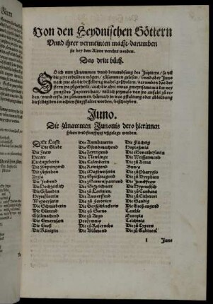 Das dritte büch.