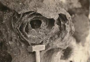 Zittauer Gebirge. Eisenrostausscheidung im Sandstein, Muschelsaal bei Oybin