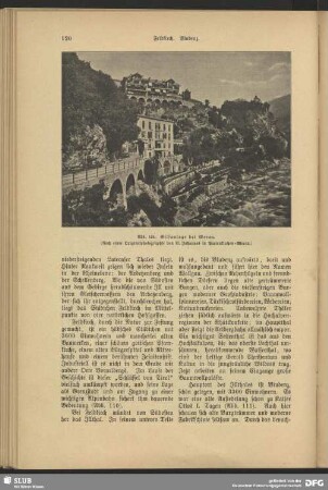 Gilfanlage bei Meran