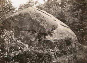 Spittelforst. Einzelner Granitblock im östlichen Forst