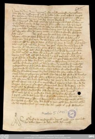 [Halle (Saale), Universitäts- und Landesbibliothek Sachsen-Anhalt, Morbio 5 (140)]