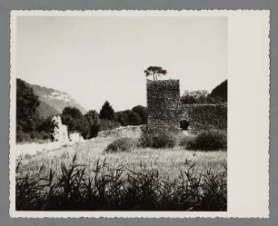 Ruine Weißenstein am Thunersee