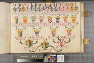 Proband: Plettenberg, Clemens August Graf von; Vater: Plettenberg, Bernhard Wilhelm Graf von; Mutter: Westerholt, Anna Sophia Gräfin von: Westfalen, Hzgtm, Ritterschaft