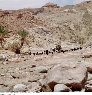 Wanderung, Aufbruch - Sinai - Familie Salem