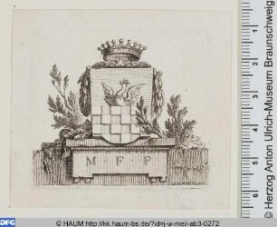 Gekröntes Wappen von Schriftstücken und Zweigen umgeben