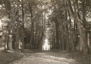 Lichtenwalde, Enfahrtsallee von Schloss Lichtenwalde