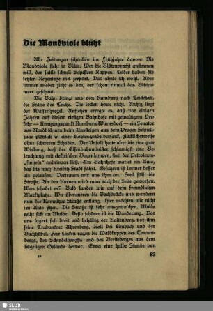 Die Mondviole blüht