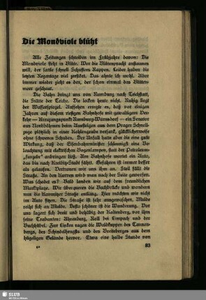 Die Mondviole blüht