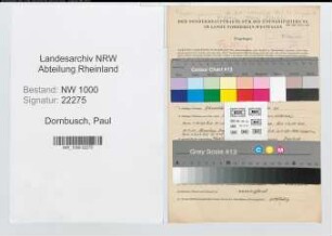 Entnazifizierung Paul Dornbusch, geb. 04.01.1904 (Ingenieur)