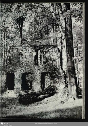 3 Klosterruine Altzella (Ruine seit 1599)