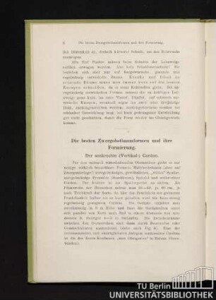 Der senkrechte (Vertikal-) Cordon.