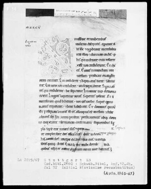 Bibel — Initiale N (ovissime recumbentibus), Folio 32 recto