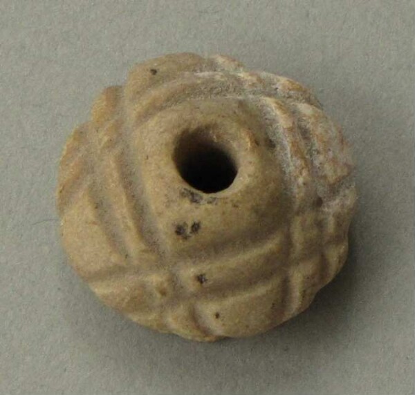 Spin whorl (?) or shell bead (?)