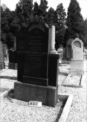 Grabstein 320 (Index: 99797130) Material: Granit Zustand: gut Maße HxBxT: 208x118x32 cm Beschreibung: Stele, 3/4 hohe Seitenflügel, Sockel, konvex eingezog. Segmentbogenabschluß Symbolik: gekreuzte Palmzweige: Grabstein 320