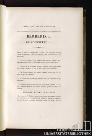 Berberis. Lin. Épine-vinette. Duh.