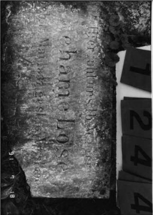 Grabstein 1244 [Hahn S. 147 Grab-Nr. 1860]: Grabstein 1244 (Detailaufnahme) [Hahn S. 147 Grab-Nr. 1860]