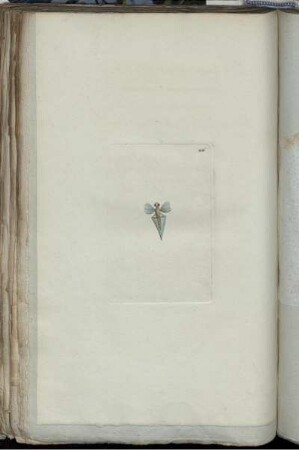 [Abb. 206]