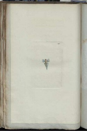 [Abb. 206]