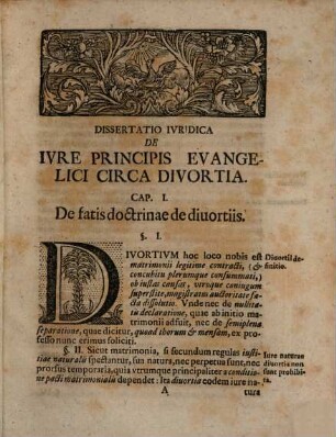 Diss. inaug. iur. de iure principis evangelici circa divortia