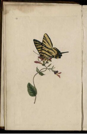 Pl. 109 [bis] Pl. 110 [Pl. siehe arbabische Paginierung]