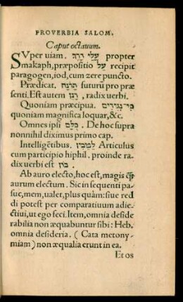 Caput octavum.