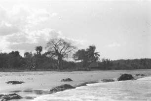 Strand mit Hütte : Strandlandschaft mit Hütte, Meer und Bäumen.