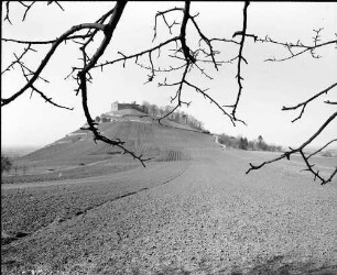 Staufen: Staufener Burg von Osten