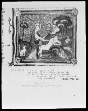 Bible Historiale — Sechster Schöpfungstag - Erschaffung der Landtiere und des Menschen, Folio 7verso