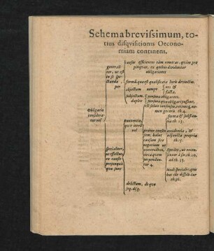 Schema brevissimum, totius disquisitionis Oeconomiam continens.