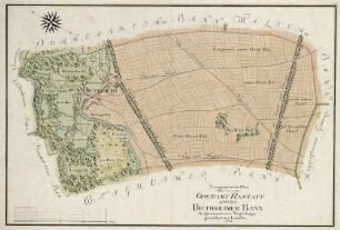 Topographischer Plan über den in das Oberamt Rastatt gehörigen Bietigheimer Bann