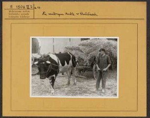 Landwirtschaftsschule in Crostwitz. Unterricht. : Ratarska šula w Chrósćicach. Wučba.