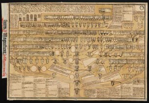 Darstellung eines genealogischen Stammbaums der Geographie