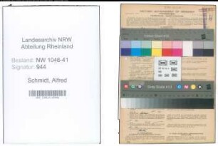Entnazifizierung Alfred Schmidt , geb. 07.08.1899 (Schlosser)