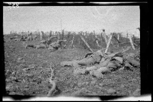 Übungsgelände I bei Mouzon (Dep. Ardennes, Frankreich): 6 hinter einem Drahthindernis kauernde Soldaten, 2 davon beim Durchschneiden von Draht (Seitansicht) ("im Drahtverhau")