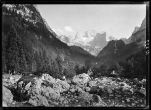 Österreich. Dachsteingruppe am Hinteren Gosausee gegen Torstein und Donnerkogl